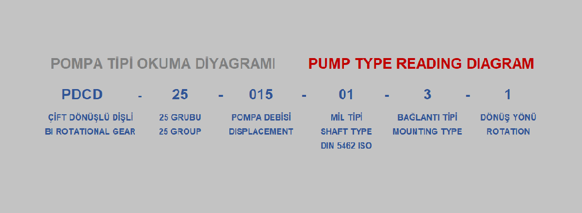 Hidromas 25 Grubu Pompa Seçim Diyagramı
